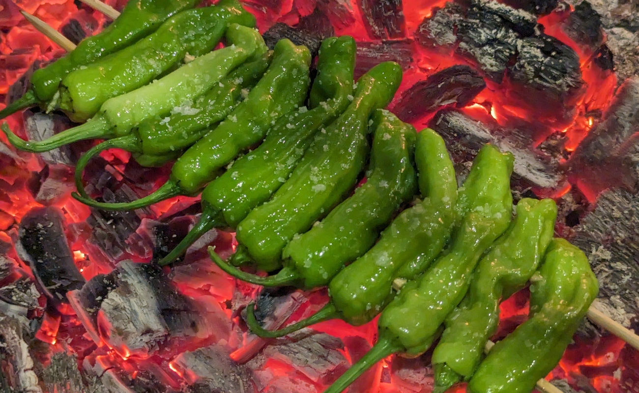 “Campfire” Shishitos with Dill Cream