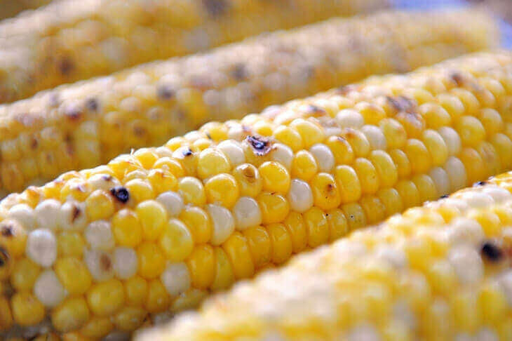 Grilled Corn on the Cob